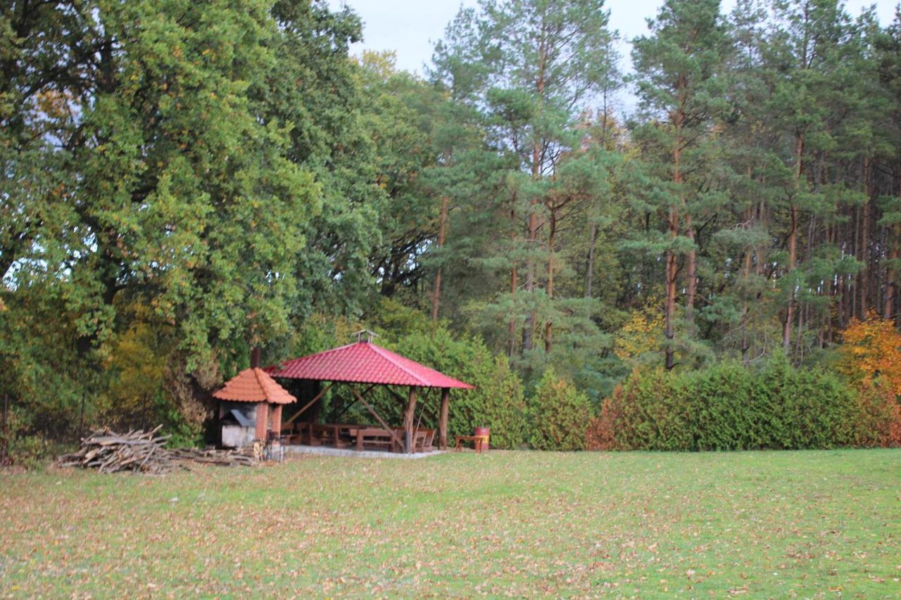 Agroletnica * Swidnica (Lubuskie)